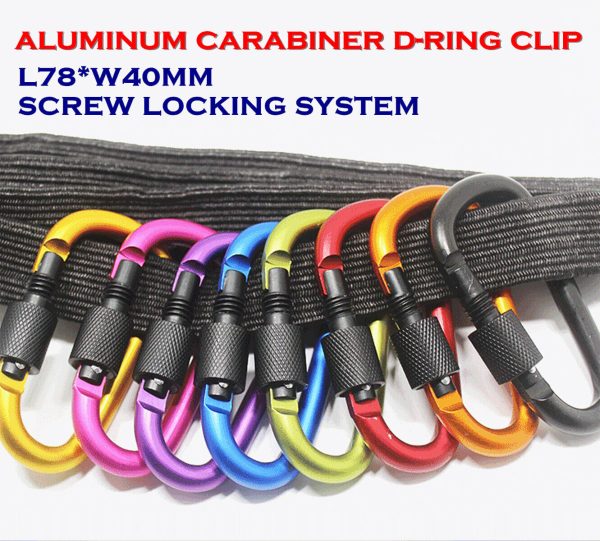 Carabiner Hook