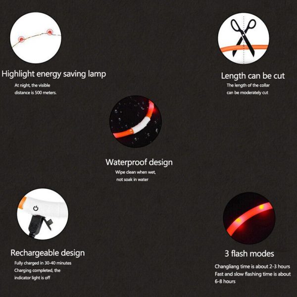 Pet Collar Speciality