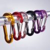 Carabiner Keyring Hook