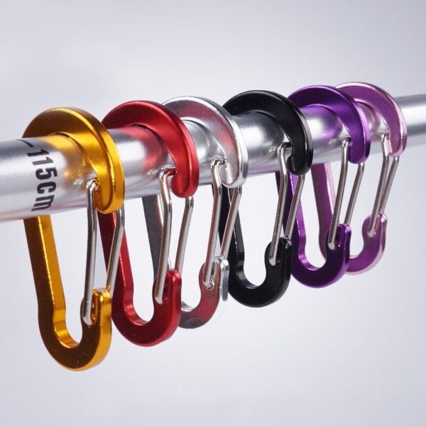 Carabiner Keyring Hook